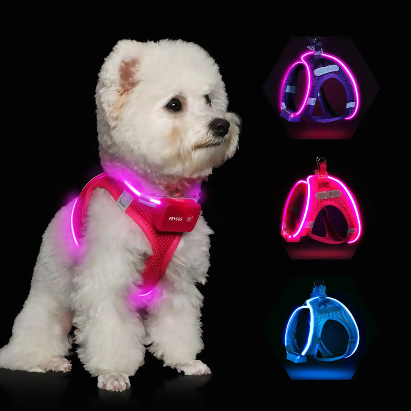 Light Up Dog HarnessLED Dog Harness Rechargeable Lighted Dog Vest Harness for Night WalkingReflective Safety Vest for Small Medium Large DogsAdjustable Soft MeshPinkM