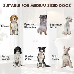 Dog Feeding Station, Dog Food Locker With Hidden Dog Bowl, Adjustable Panel, Hook, Medium Dog, White