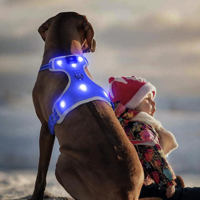 BSEEN Light Up Dog Harness - No-Pull LED Dog Harness Glow in The Dark Dog Walking Harness Rechargeable Dog Vest Harness Dog Lights for Night Walking (Blue Large)
